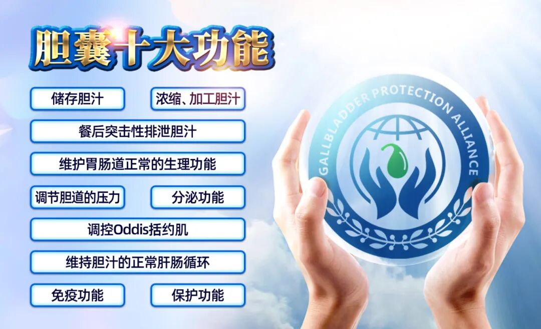 胆囊健康科普宣传周:9.1胆囊健康日义诊义检,四川结石病医院在行动(图7) 胆囊健康科普宣传周:9.1胆囊健康日义诊义检,四川结石病医院在行动(图7)