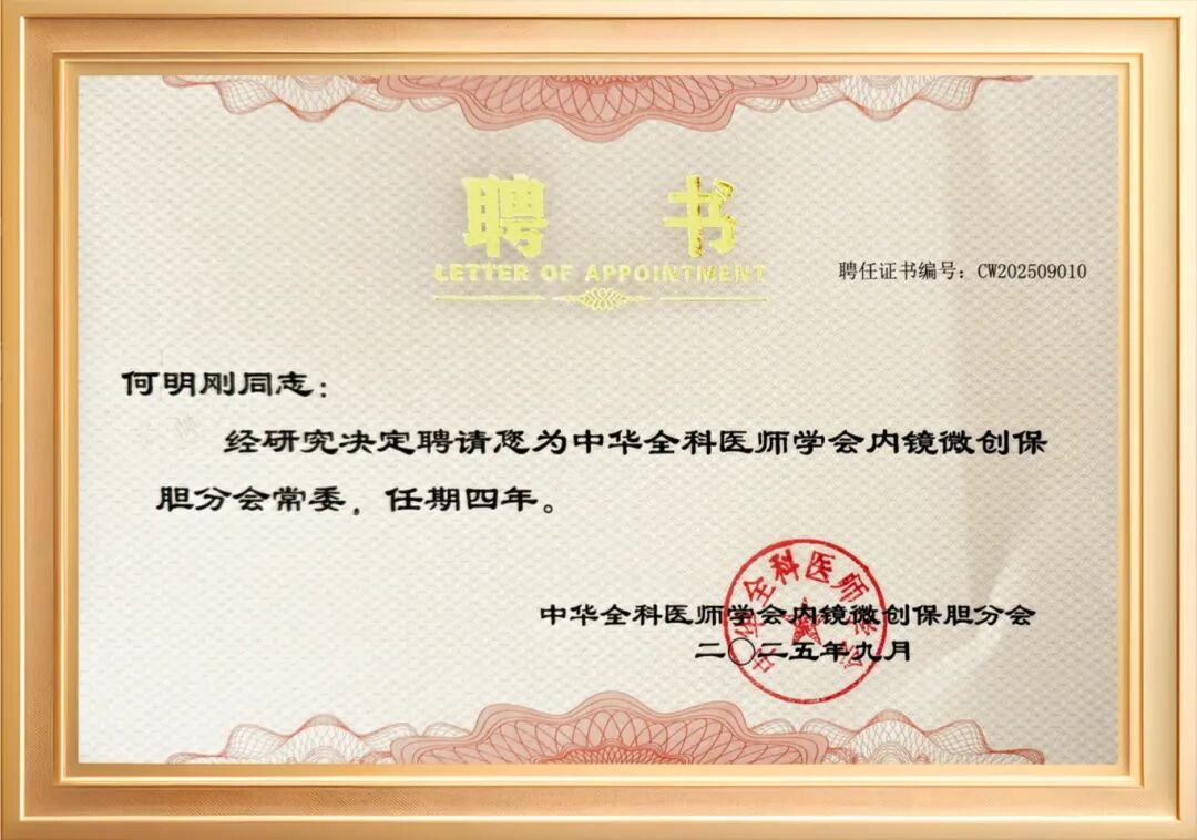 2025年度|四川结石病医院肝胆外科:深耕亚专科,绘就精准医疗蓝图(图7) 2025年度|四川结石病医院肝胆外科:深耕亚专科,绘就精准医疗蓝图(图7)